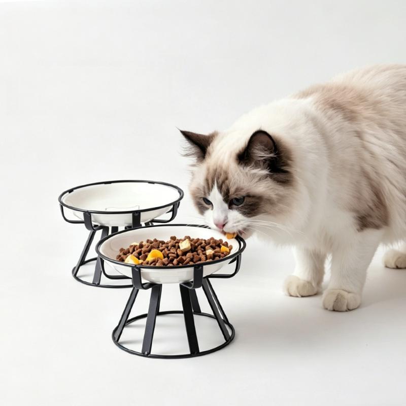 1/2Pcs Food Water Snack Feeder - Food Drink Snacks review and price